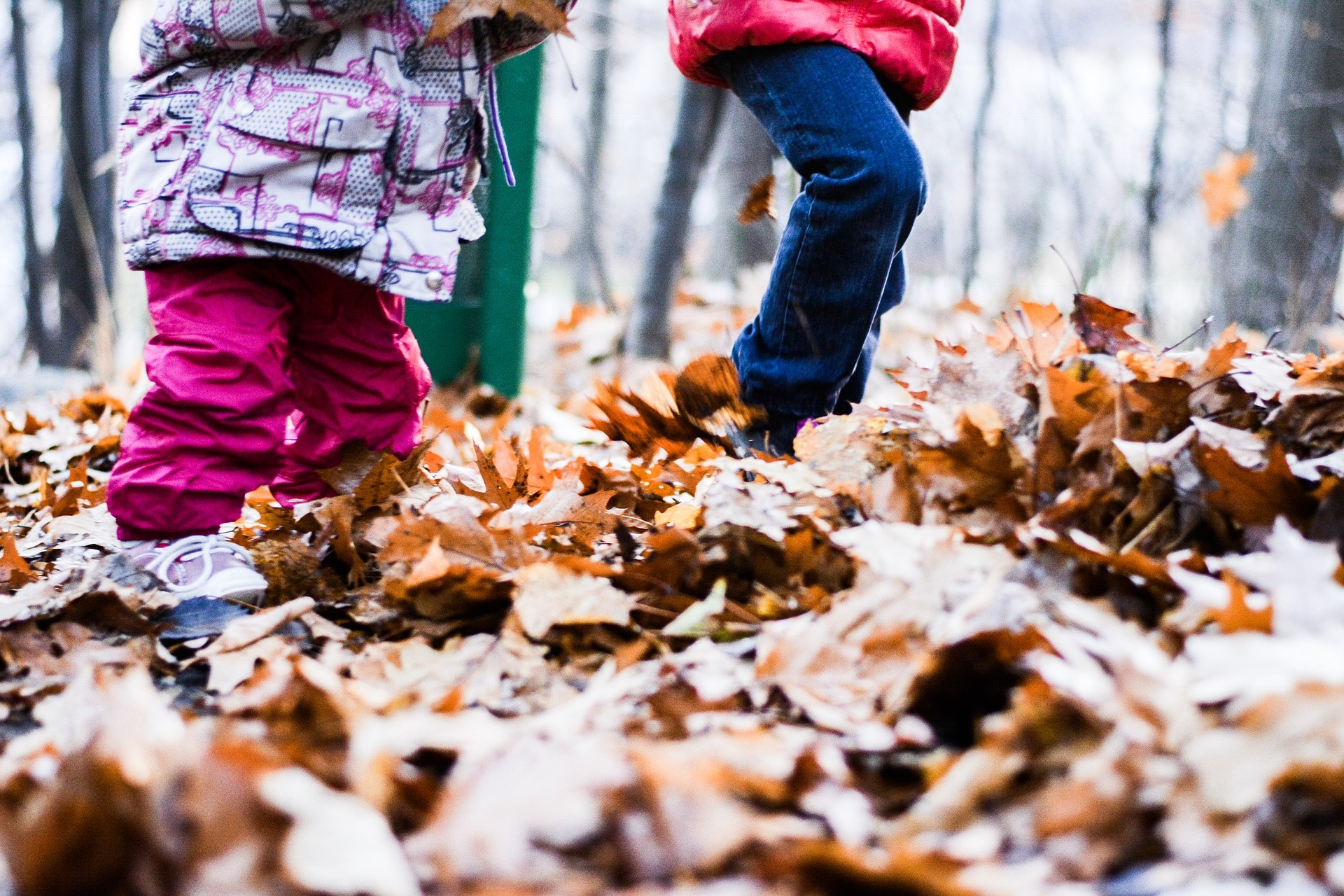Children playing in autumn leaves